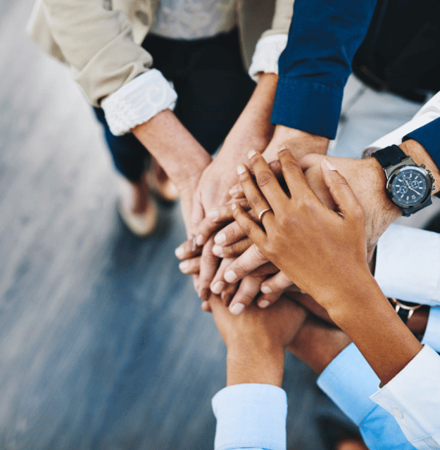 Partner_Gallery Accordian_6